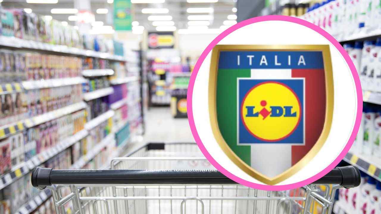 lidl offerta