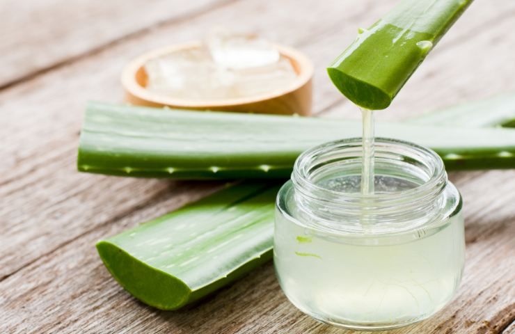 impacchi di aloe per capelli