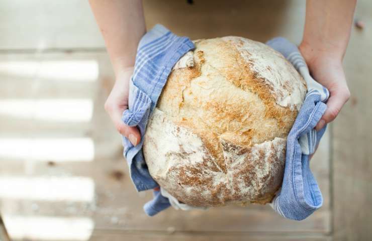 mangiare pane ogni pasto alternare fonti alimentari