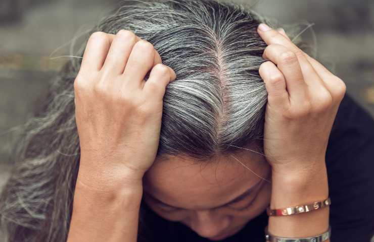 capelli grigi legame stress ricerca americana