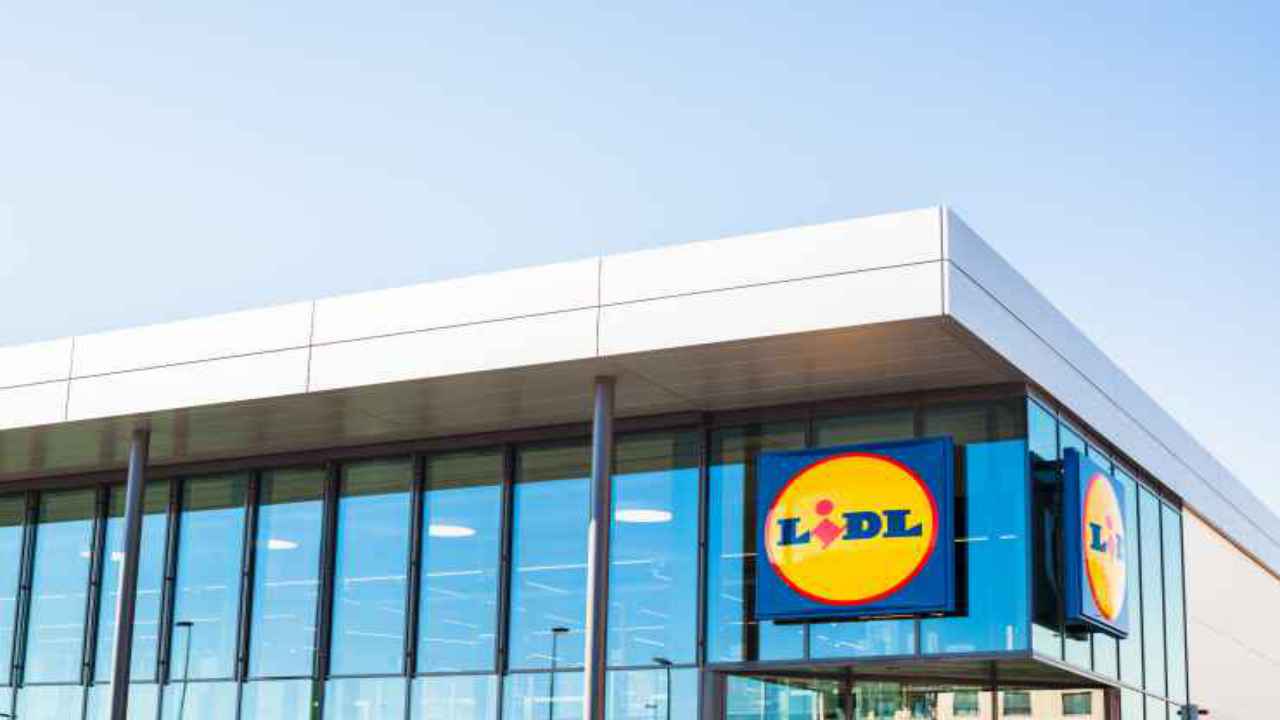 guadagni lavoro lidl