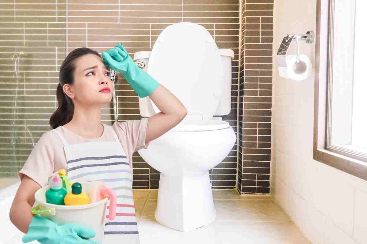 Come eliminare le macchie dal wc in modo semplice ed economico