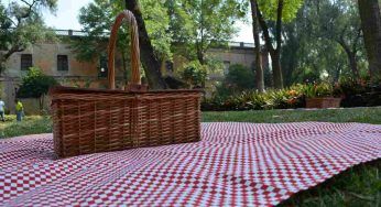 Pic nic con il partner: la location migliore in cui farlo è a un passo da te